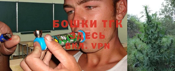 ГАЛЛЮЦИНОГЕННЫЕ ГРИБЫ Вяземский