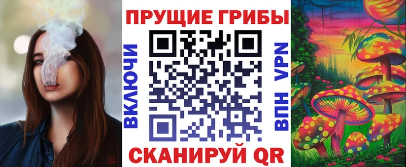 Галлюциногенные грибы Cubensis  даркнет сайт  Долинск 